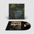 LPDragonflies / Dragonflies / Vinyl