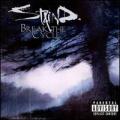 CDStaind / Break The Cycle