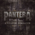 2LP / Pantera / 1990-2000 / A Decade Of Domination / Vinyl / 2LP