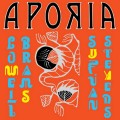 CDStevens Sufjan & Lowell Brams / Aporia / Digisleeve