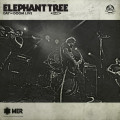 LPElephant Tree / Day of Doom - Live / Vinyl / Limited